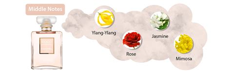 chanel mademoiselle scent notes